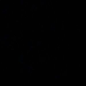 Meet your Posher, Paycie